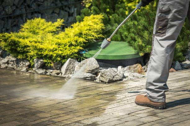 Best Solar Panel Cleaning  in Auburn, IN