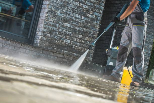 Best Dumpster Area Cleaning  in Auburn, IN