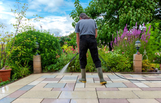 Best Winterizing Services  in Auburn, IN