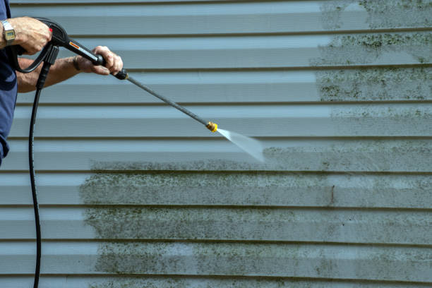 Best Building Exterior Washing  in Auburn, IN